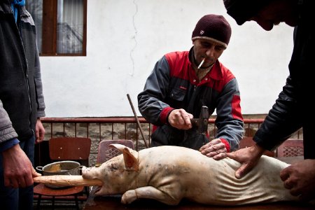 07-matteo-vegetti-reportage-religion-and-nationalism-2